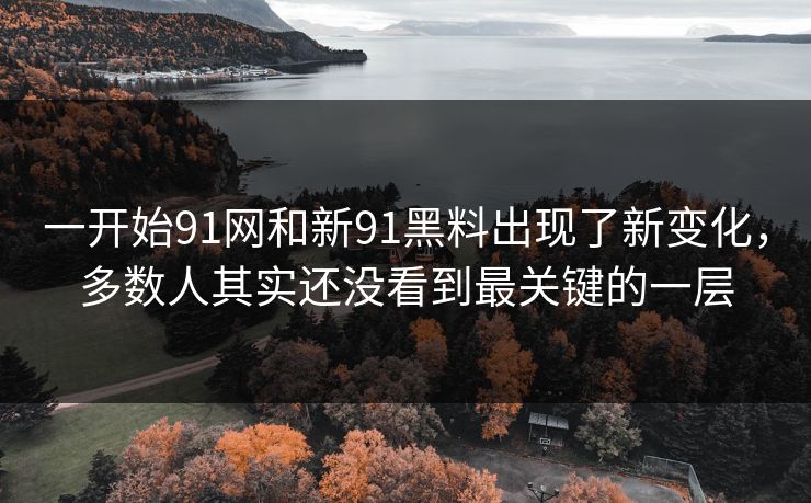 一开始91网和新91黑料出现了新变化，多数人其实还没看到最关键的一层