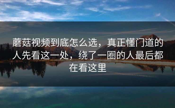 蘑菇视频到底怎么选，真正懂门道的人先看这一处，绕了一圈的人最后都在看这里