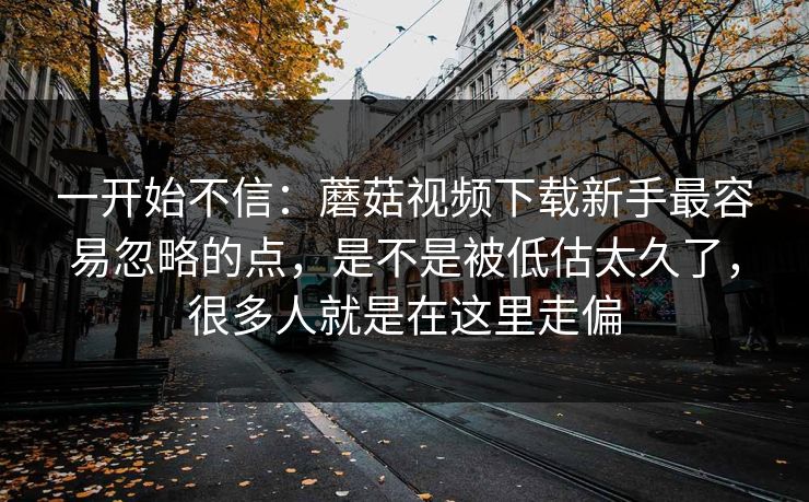 一开始不信：蘑菇视频下载新手最容易忽略的点，是不是被低估太久了，很多人就是在这里走偏