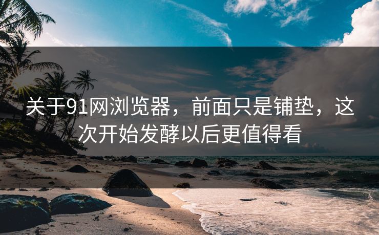 关于91网浏览器，前面只是铺垫，这次开始发酵以后更值得看
