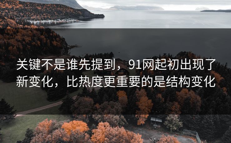 关键不是谁先提到，91网起初出现了新变化，比热度更重要的是结构变化