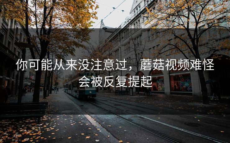 你可能从来没注意过，蘑菇视频难怪会被反复提起