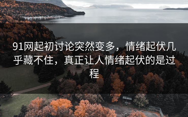 91网起初讨论突然变多，情绪起伏几乎藏不住，真正让人情绪起伏的是过程