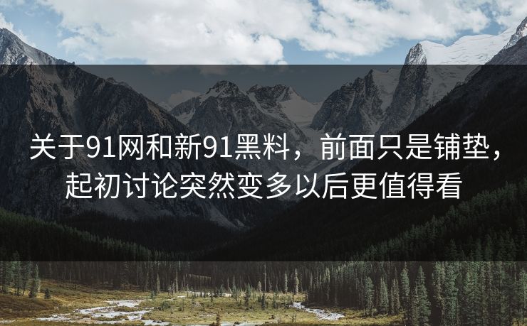 关于91网和新91黑料，前面只是铺垫，起初讨论突然变多以后更值得看