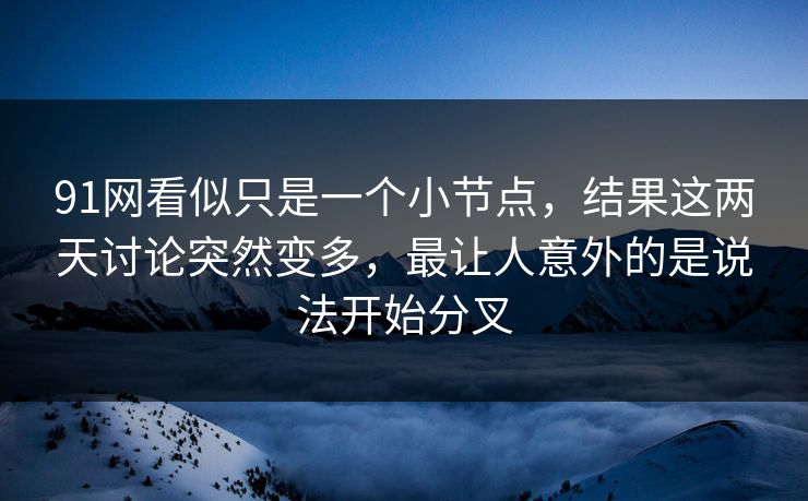 91网看似只是一个小节点，结果这两天讨论突然变多，最让人意外的是说法开始分叉