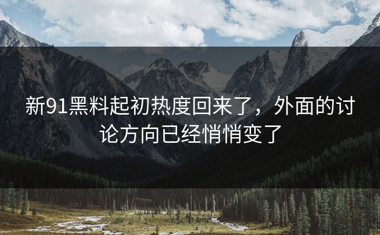 新91黑料起初热度回来了，外面的讨论方向已经悄悄变了