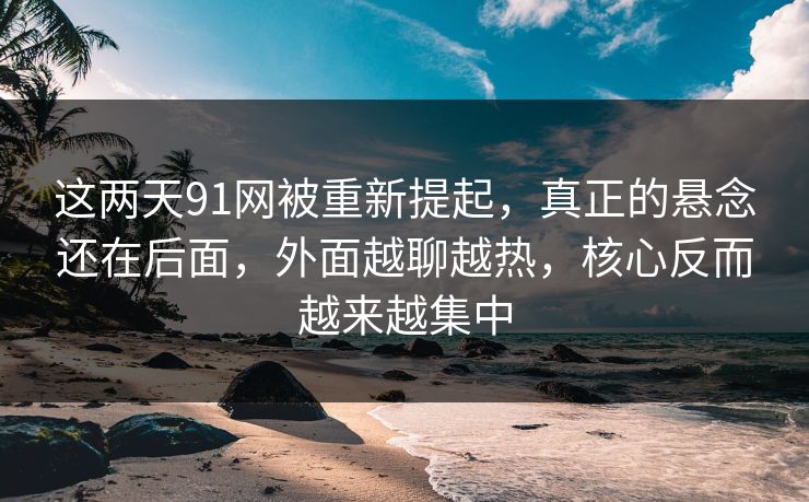 这两天91网被重新提起，真正的悬念还在后面，外面越聊越热，核心反而越来越集中