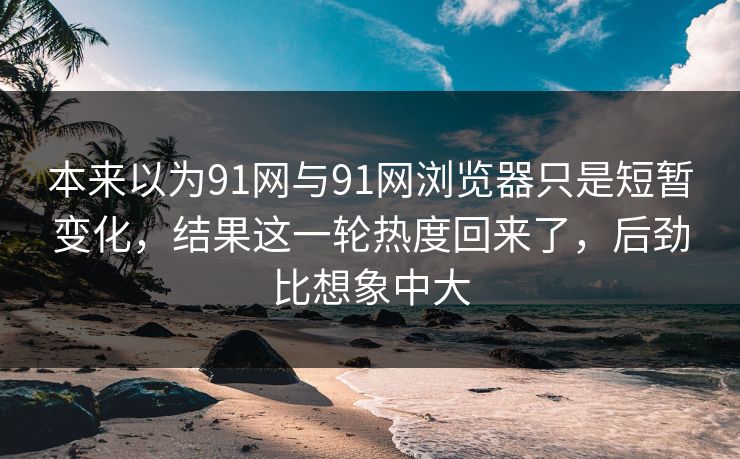 本来以为91网与91网浏览器只是短暂变化，结果这一轮热度回来了，后劲比想象中大