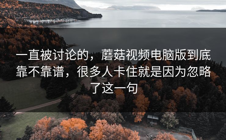 一直被讨论的，蘑菇视频电脑版到底靠不靠谱，很多人卡住就是因为忽略了这一句