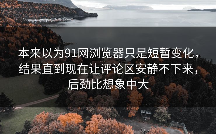 本来以为91网浏览器只是短暂变化，结果直到现在让评论区安静不下来，后劲比想象中大