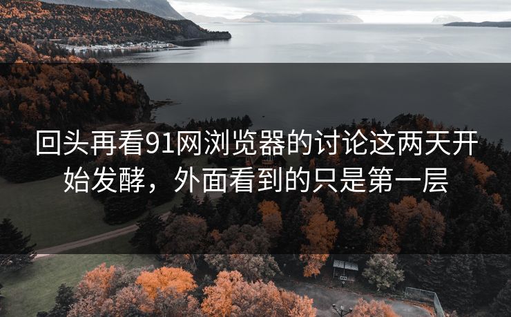 回头再看91网浏览器的讨论这两天开始发酵，外面看到的只是第一层