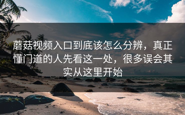 蘑菇视频入口到底该怎么分辨，真正懂门道的人先看这一处，很多误会其实从这里开始