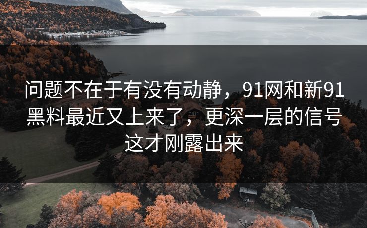 问题不在于有没有动静，91网和新91黑料最近又上来了，更深一层的信号这才刚露出来
