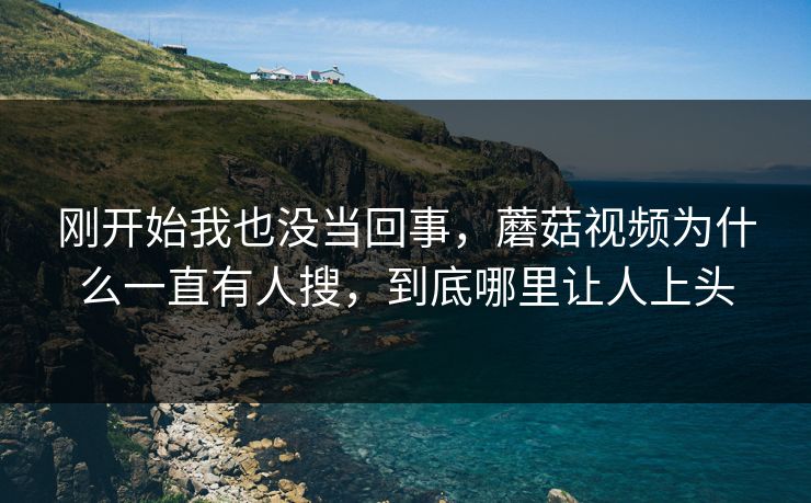 刚开始我也没当回事，蘑菇视频为什么一直有人搜，到底哪里让人上头
